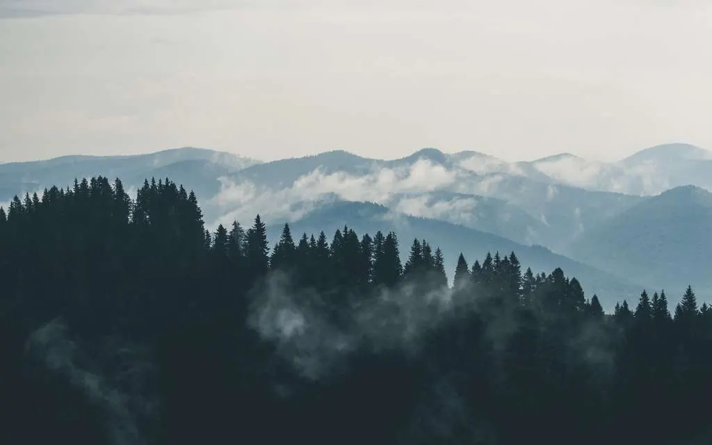 Speak To Your Mountain!